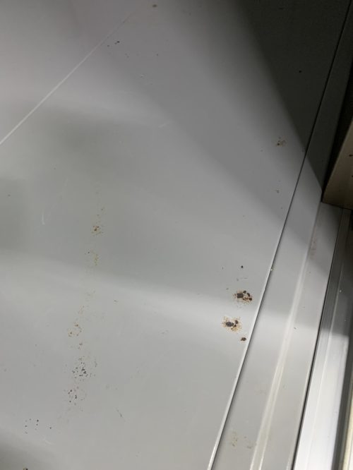手前の床板には一部サビがあります😢