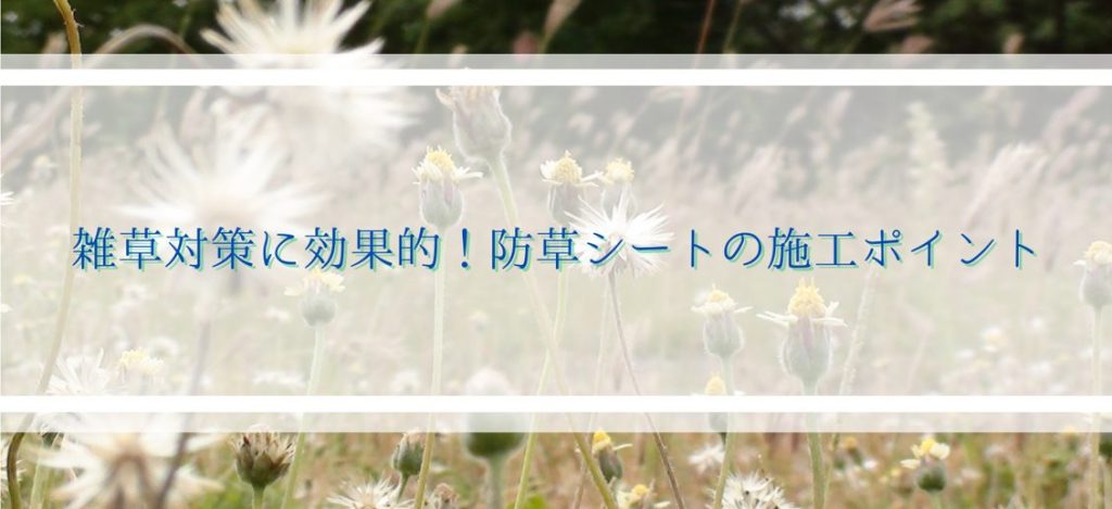 雑草対策に効果的！防草シートの施工ポイント