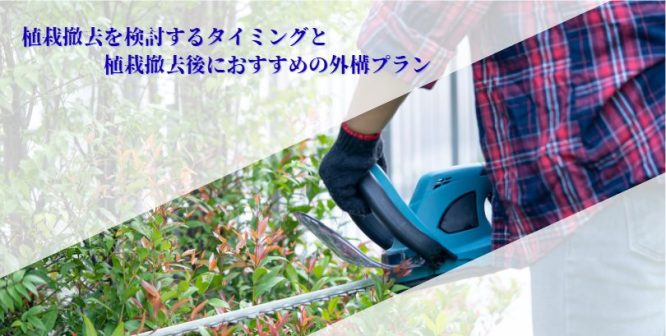 植栽撤去を検討するタイミングと植栽撤去後におすすめの外構プラン